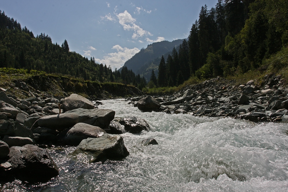 Das Hollerbachtal...