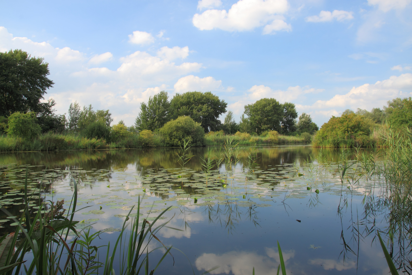 Das Hollerland in Bremen