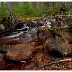 Das Holz ist gezeichnet