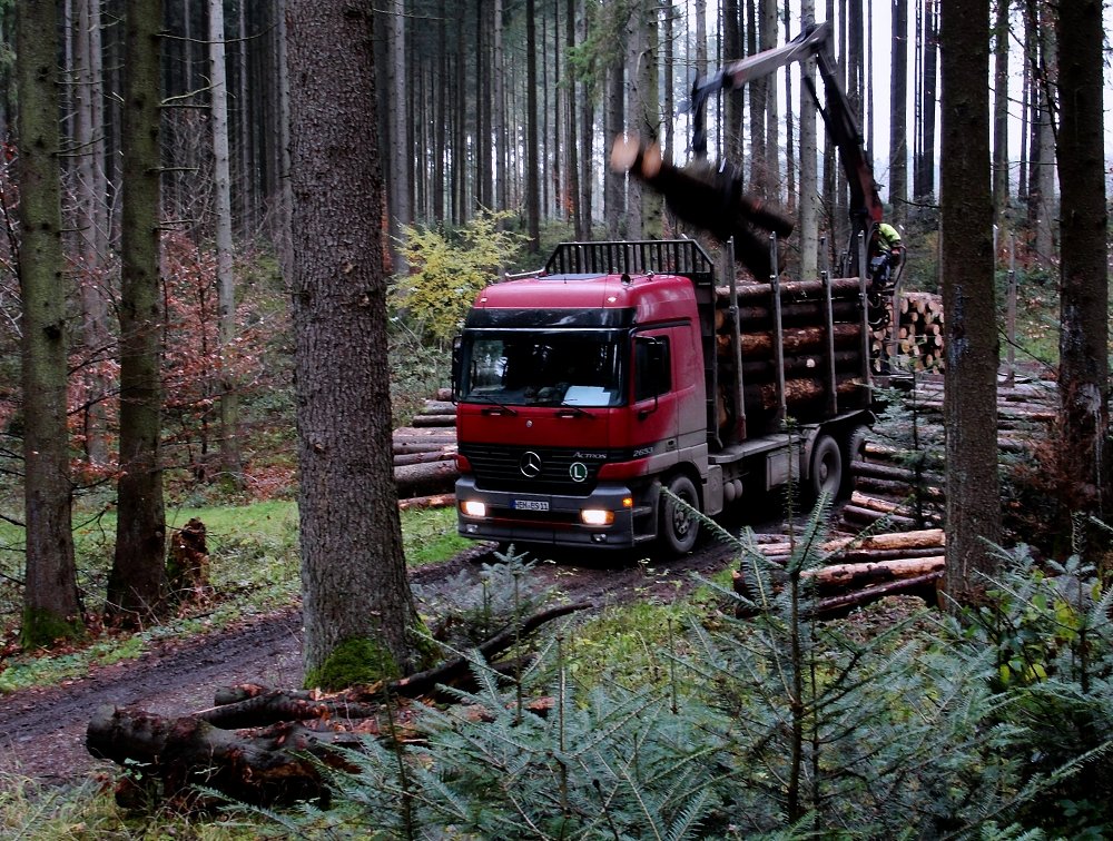 Das Holz muss wieder weg ...