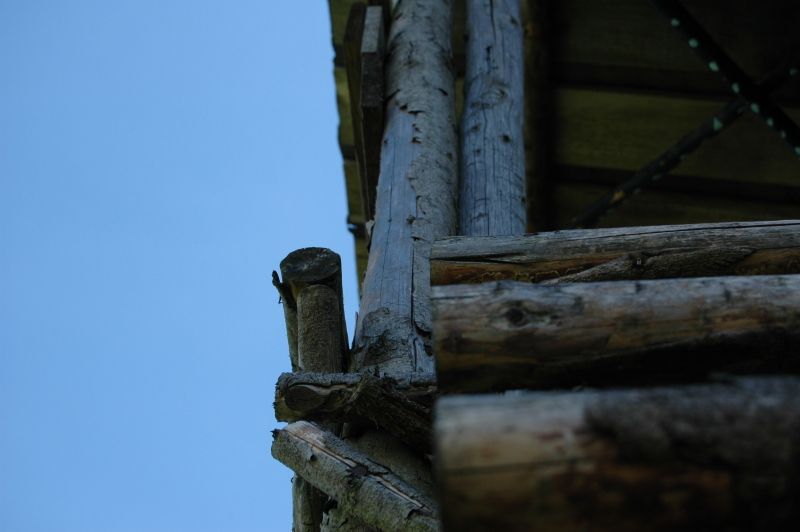 Das Holz und das Blau