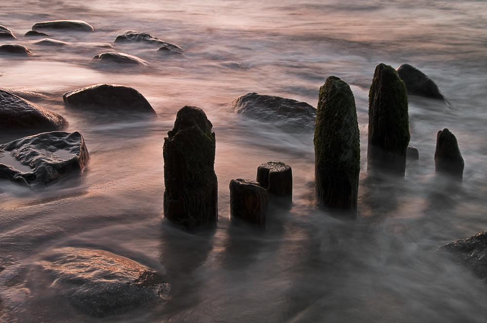 Das Holz und das Meer