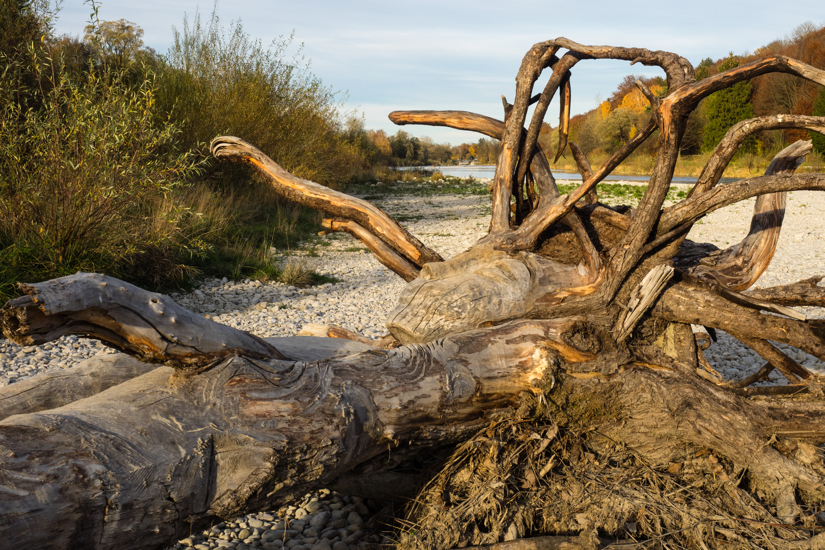 das Holzmädchen an der Isar