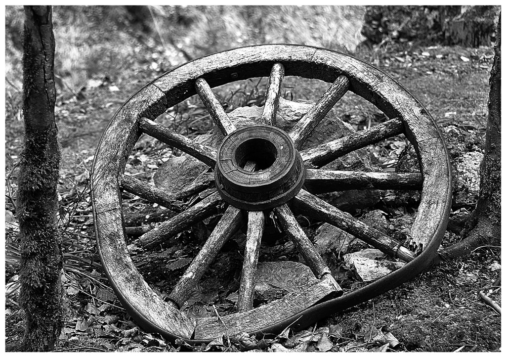 Das Holzrad im Wald