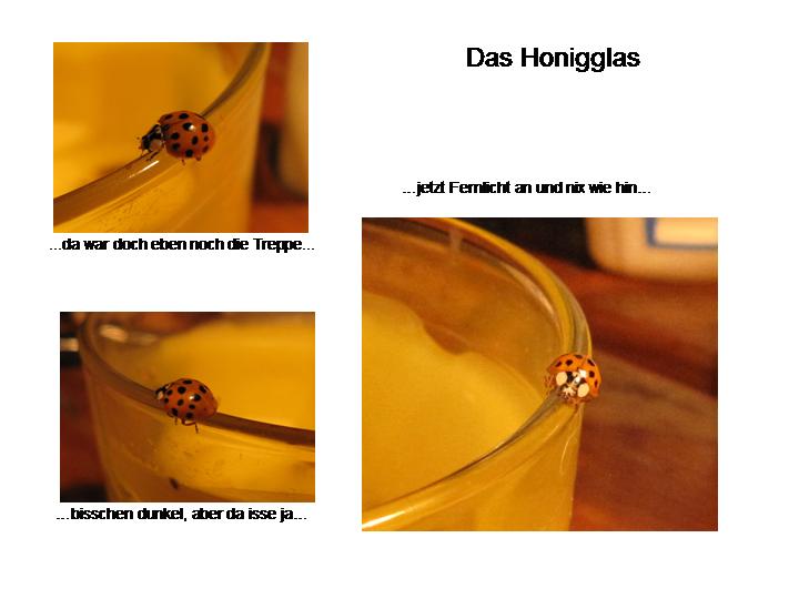 Das Honigglas