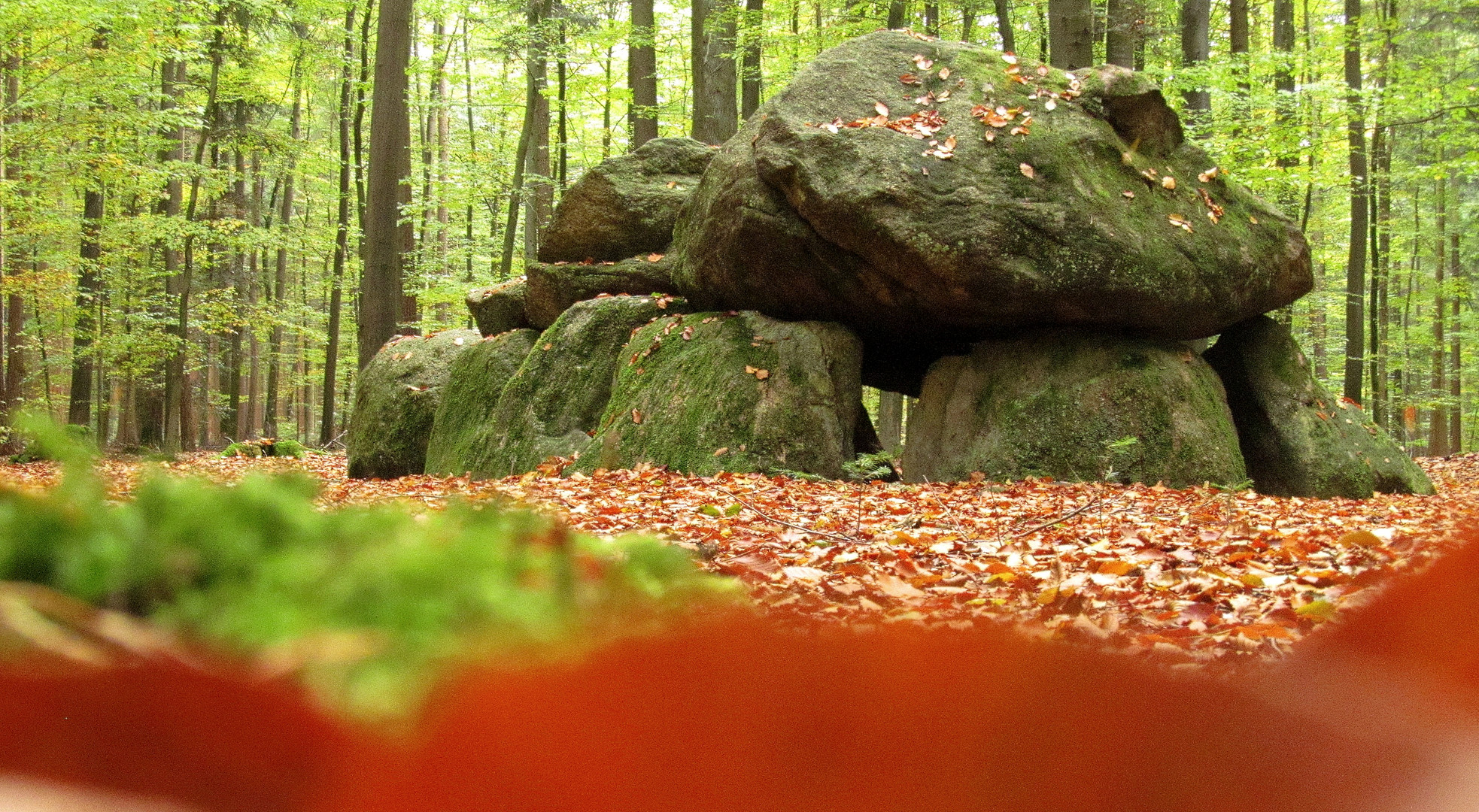 das Hühnengrab im Wald Westerberg 2016 