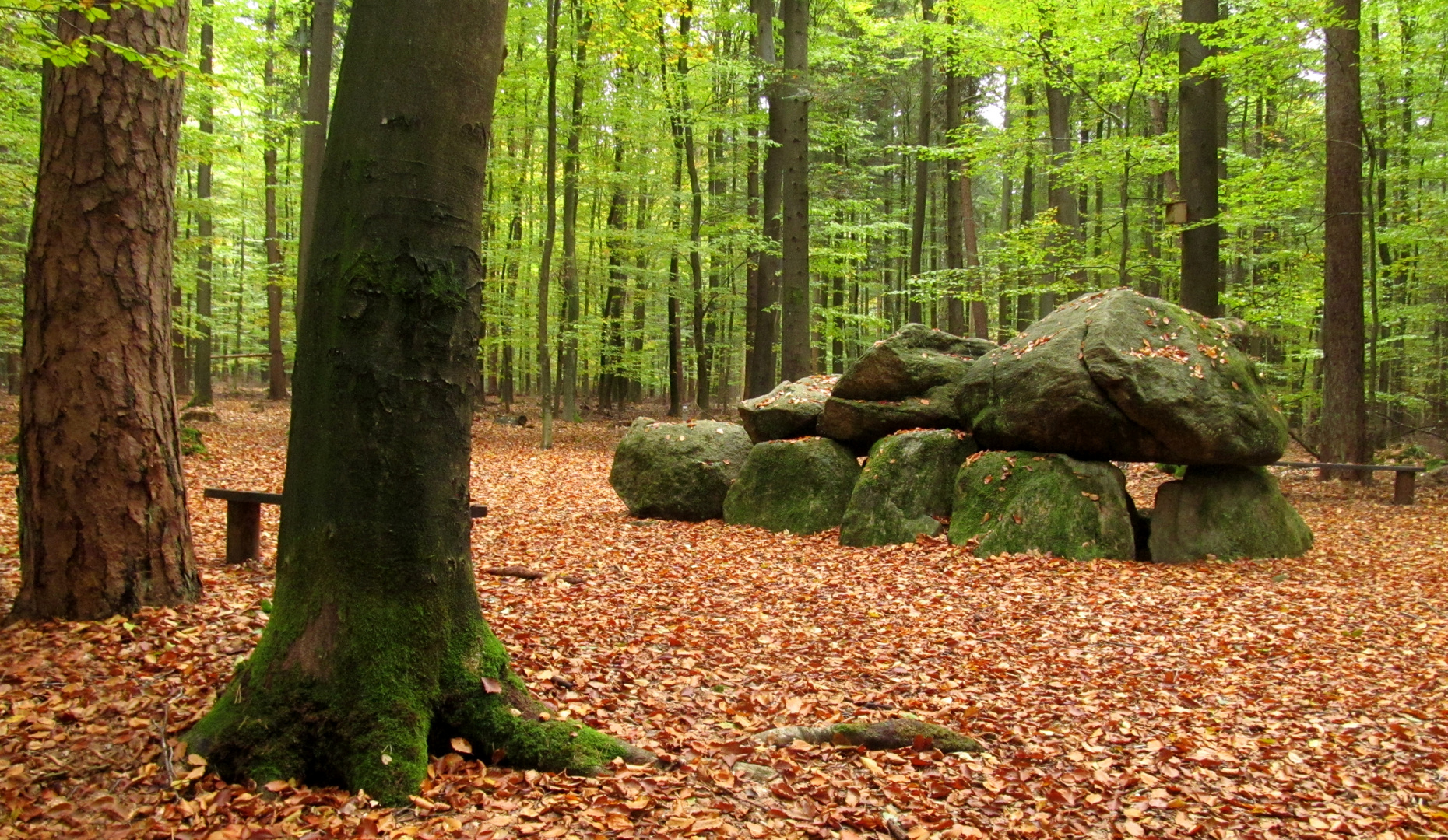  das Hünengrab im Wald ... 