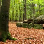  das Hünengrab im Wald ... 