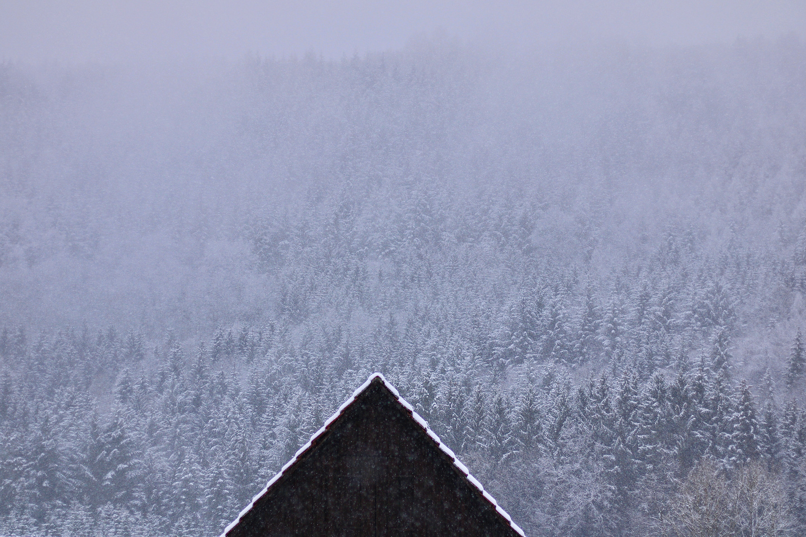 Das Hüttendach im schwäbisch-fränkischen Wald.