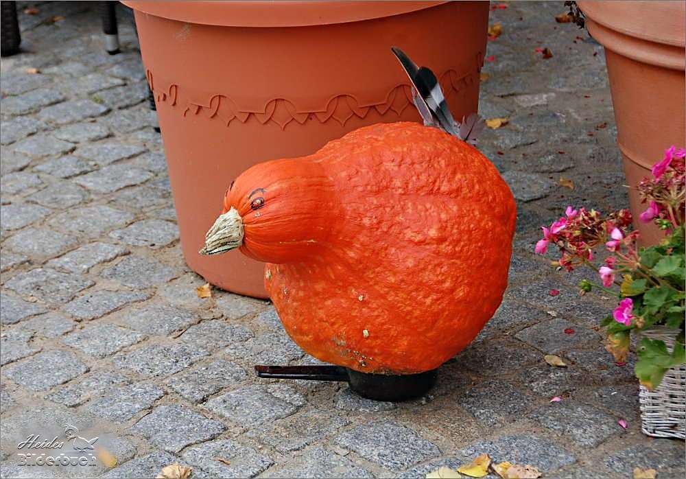 das Huhn in der Pfanne