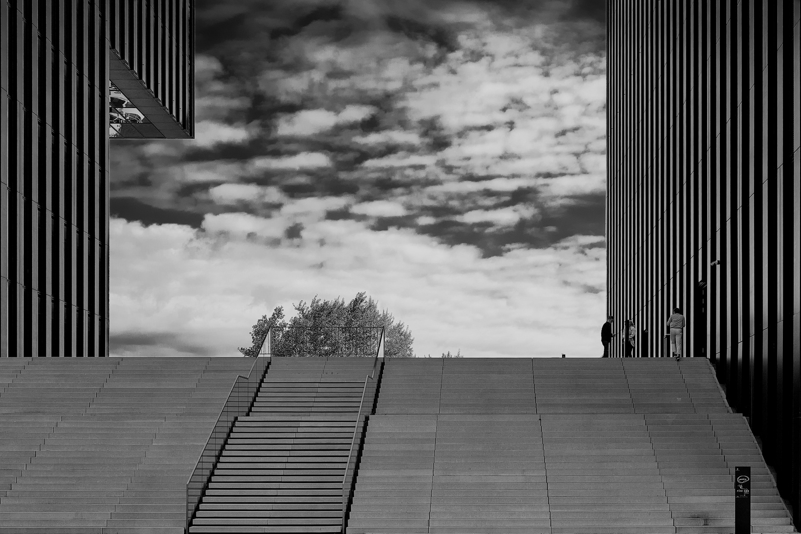 Das Hyatt Regecy an der Hafenspitze in Düsseldorf