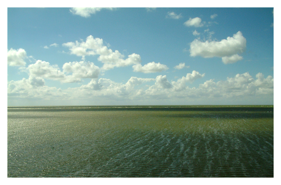 Das Ijsselmeer - fegende Winde