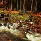 Das Ilsetal im Herbst