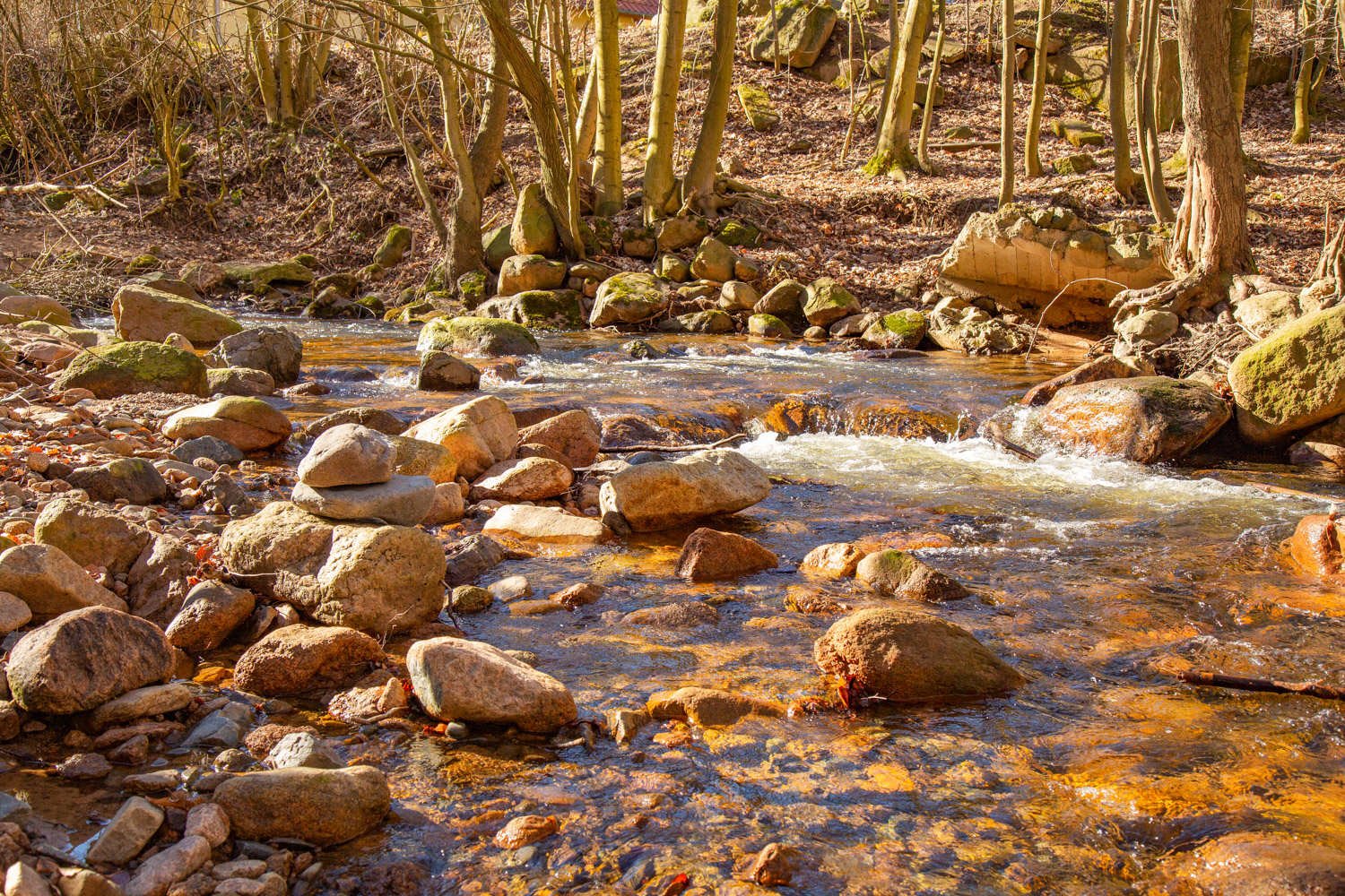 Das Ilsetal im Herbstlook