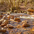 Das Ilsetal im Herbstlook