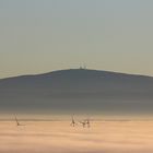 Das in dichten Bodennebel versunkene Harzvorland