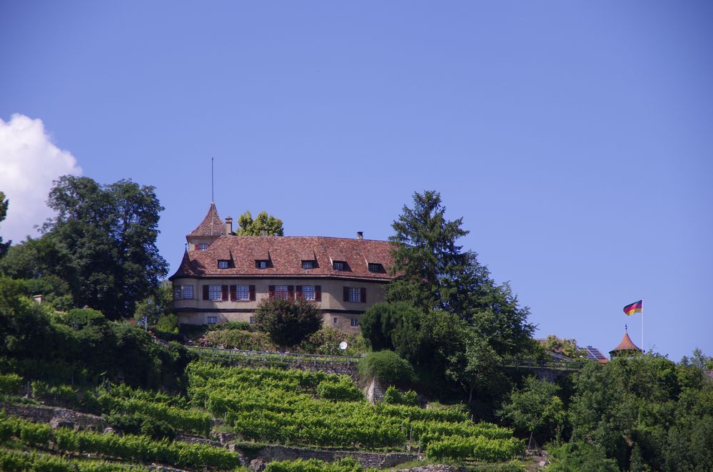 das Ingersheimer Schlosss über den Weinbergen ..das Spiel läuft.. es wird hart