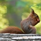 Das Innere wird bevorzugt