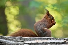 Das Innere wird bevorzugt