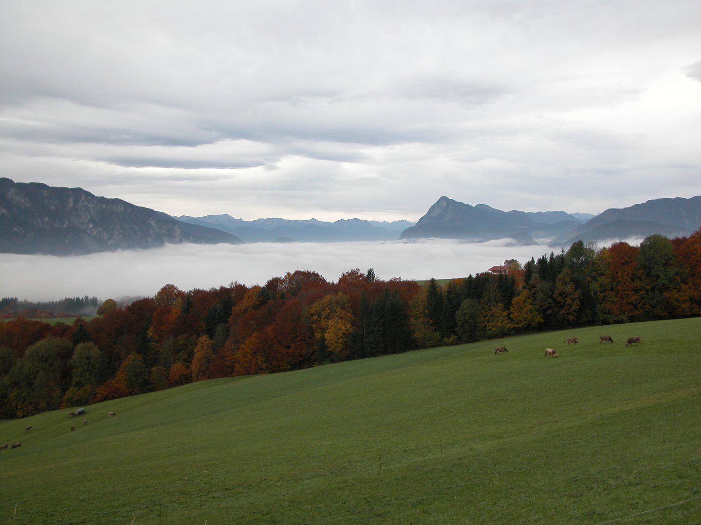 Das Inntal über Ebbs