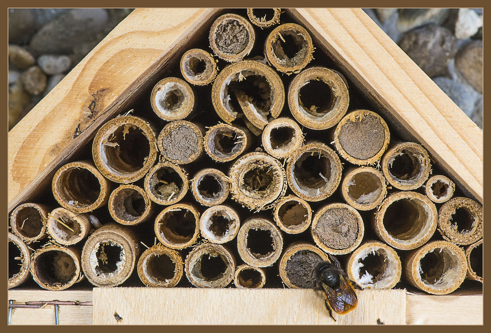 Das Insektenhotel