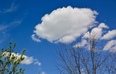 Das is' ne Wolke…