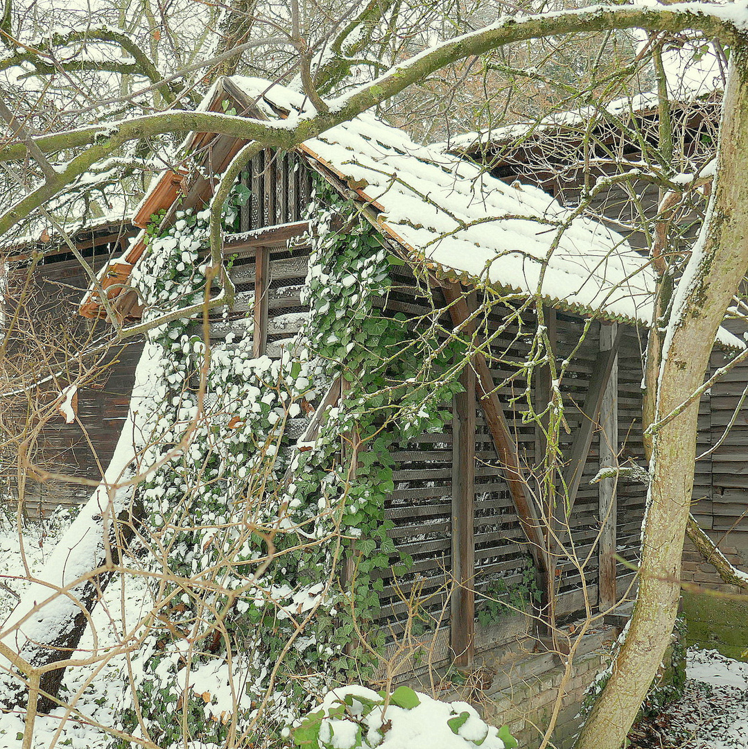 "Das ist das Haus vom Nikolaus"