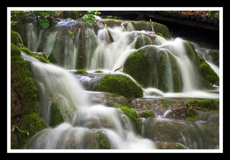 Das ist das letzte Bild aus Plitvice............