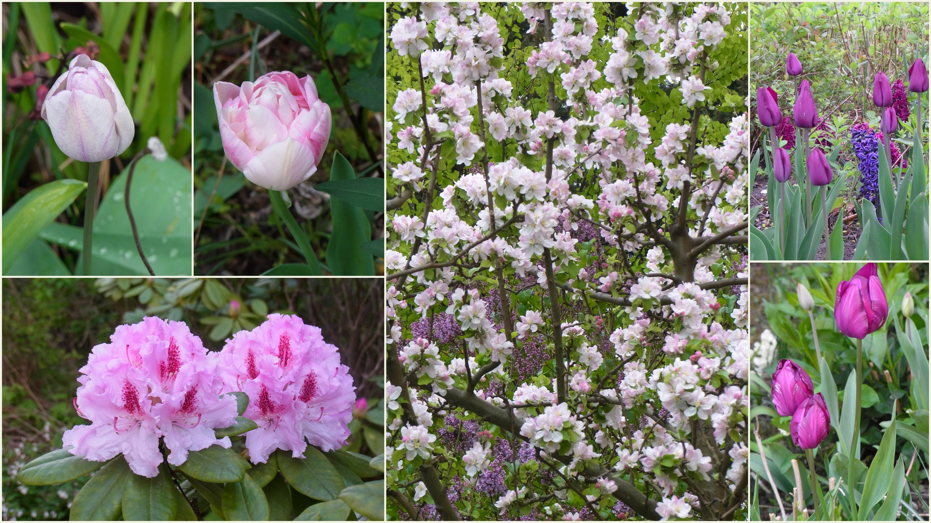 Das ist der Frühling!