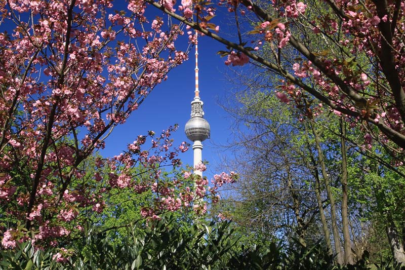 Das ist der Frühling in Berlin.....