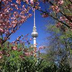 Das ist der Frühling in Berlin.....