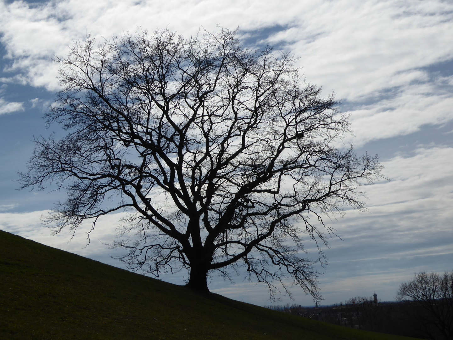 Das ist der gleiche Baum....