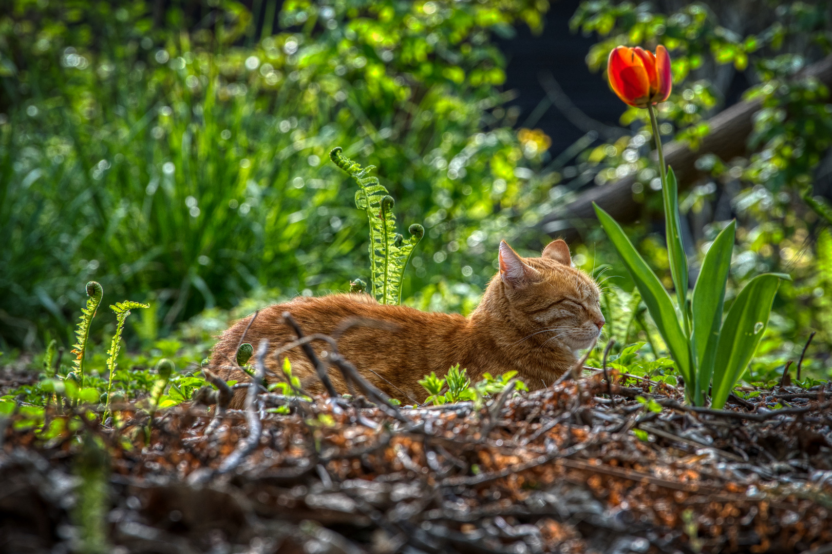 Das ist der Lieblingsplatz unser Katze Mimmi.