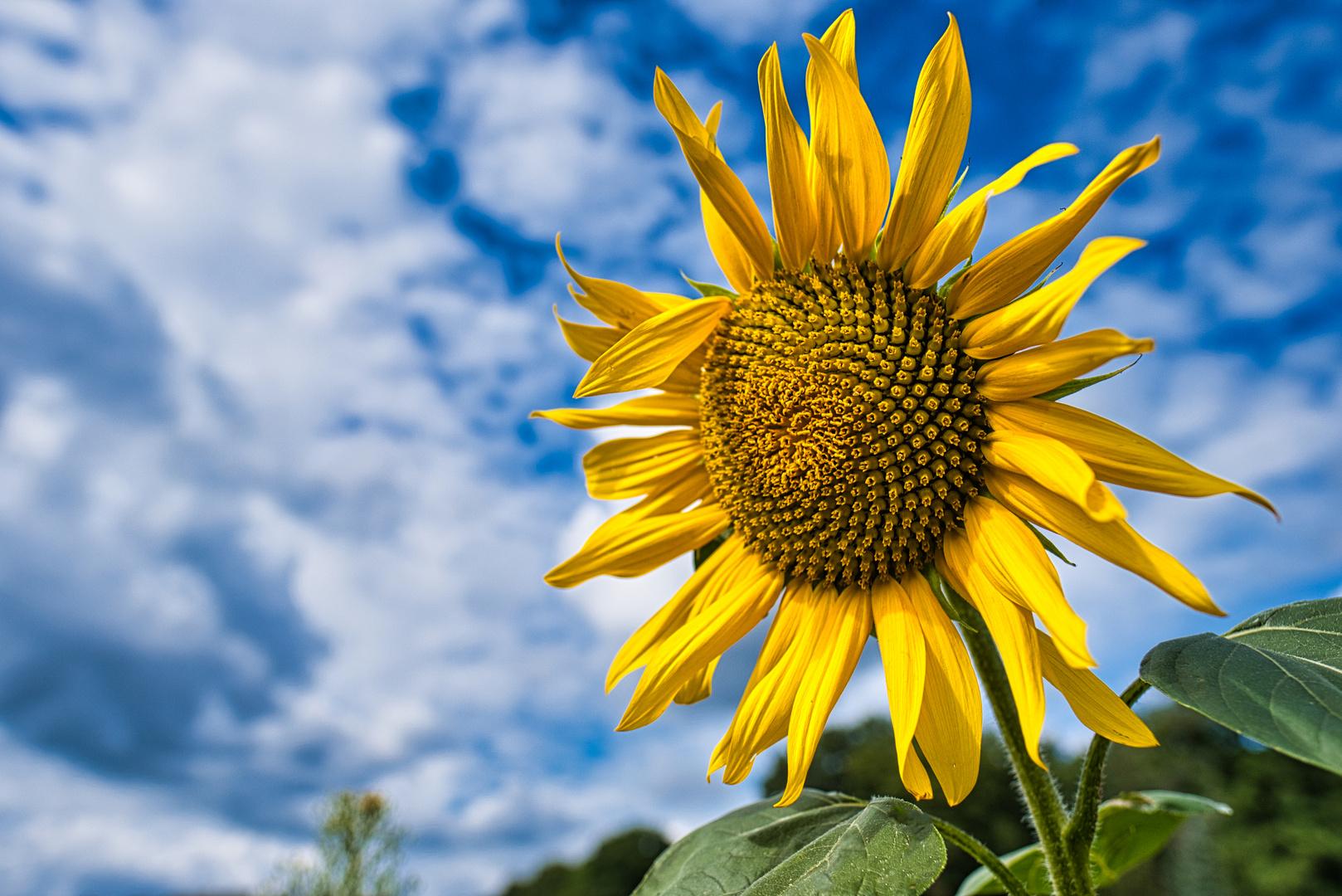 das ist der Sommer