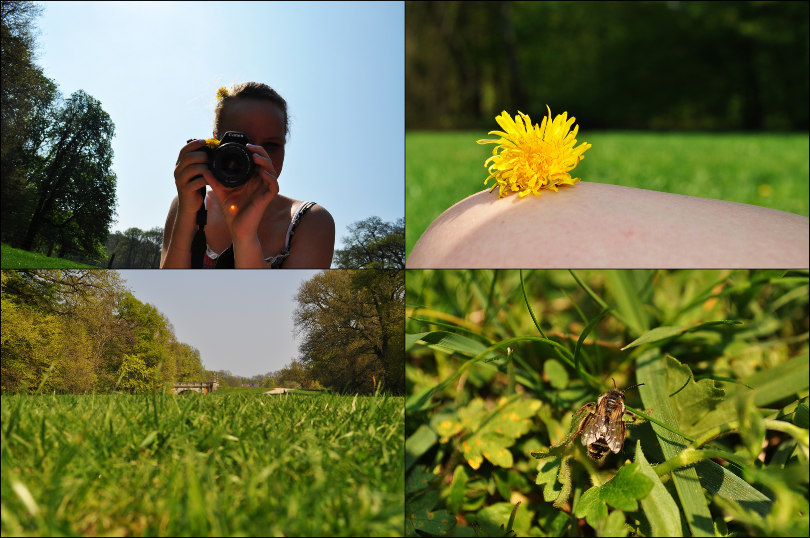 Das ist der Sommer unsres Lebens!