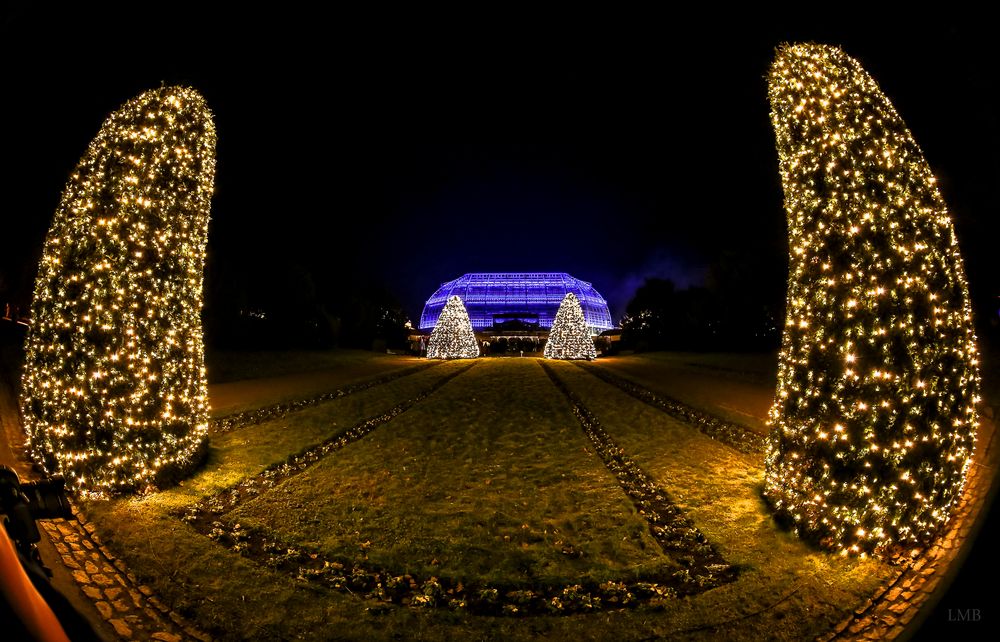 Das ist der Weg nach Weihnachten