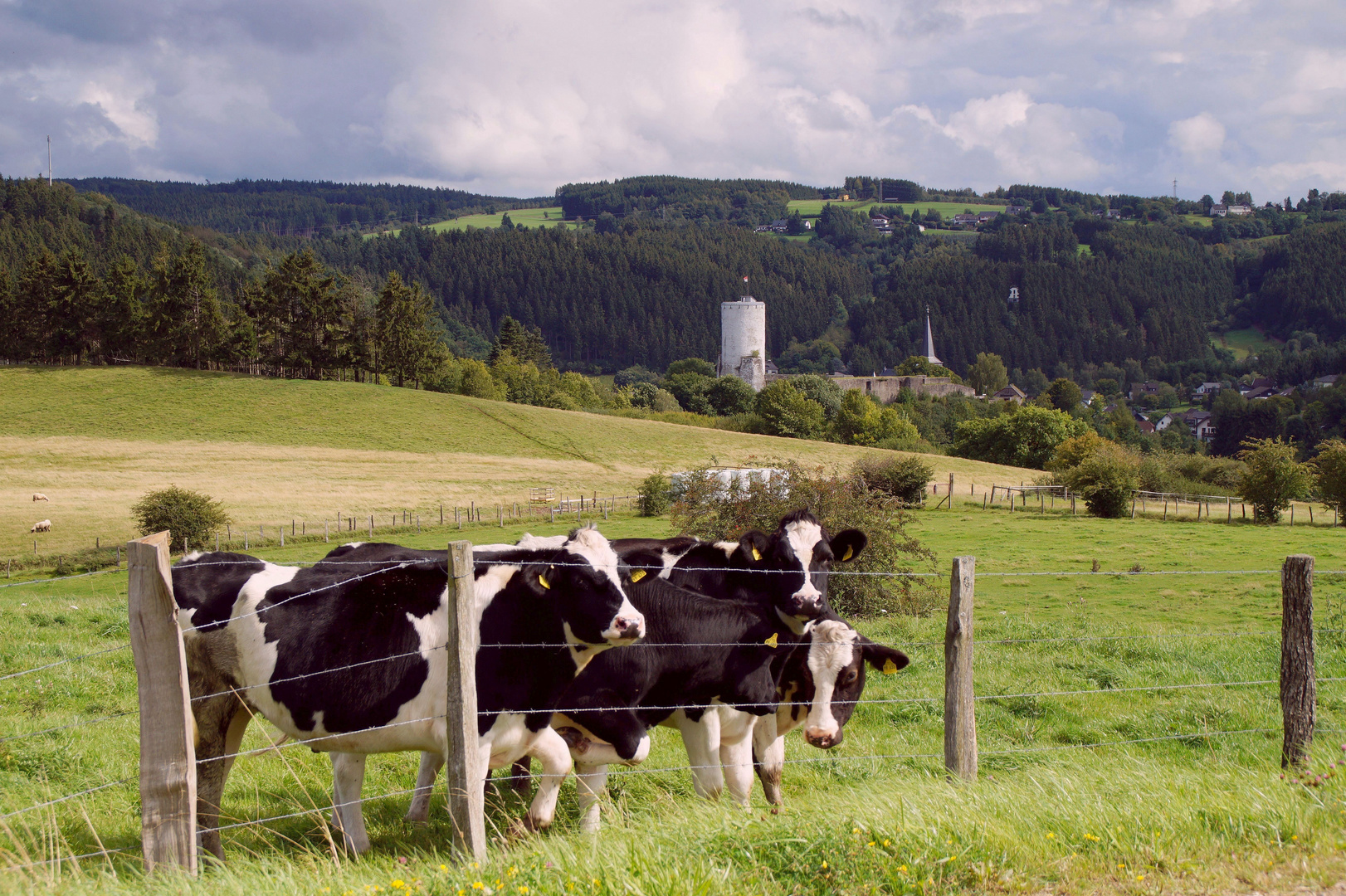 Das ist die Eifel