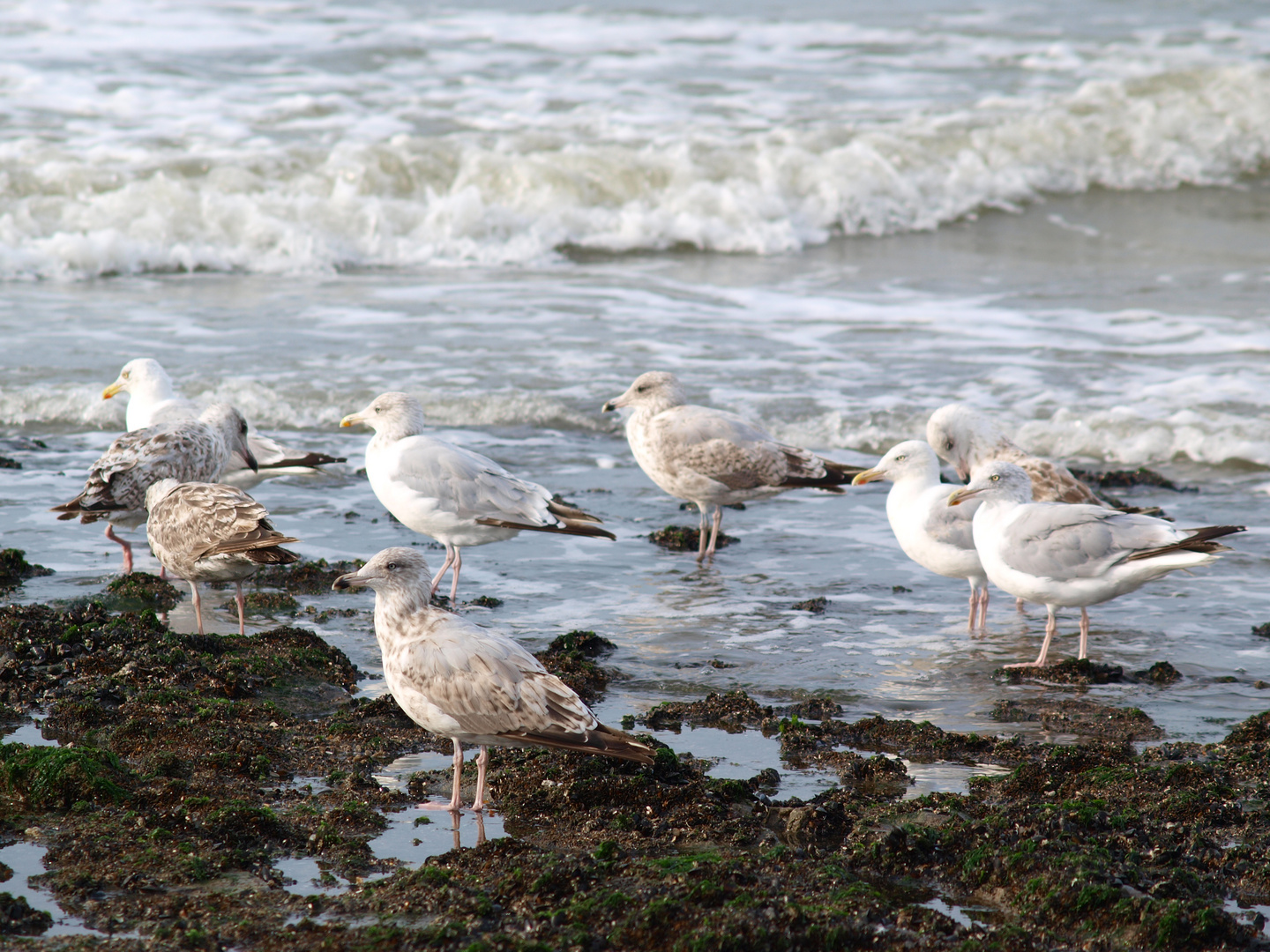 Das ist die Nordsee.