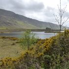 Das ist die schöne Naturlandschaft in  Schottland 