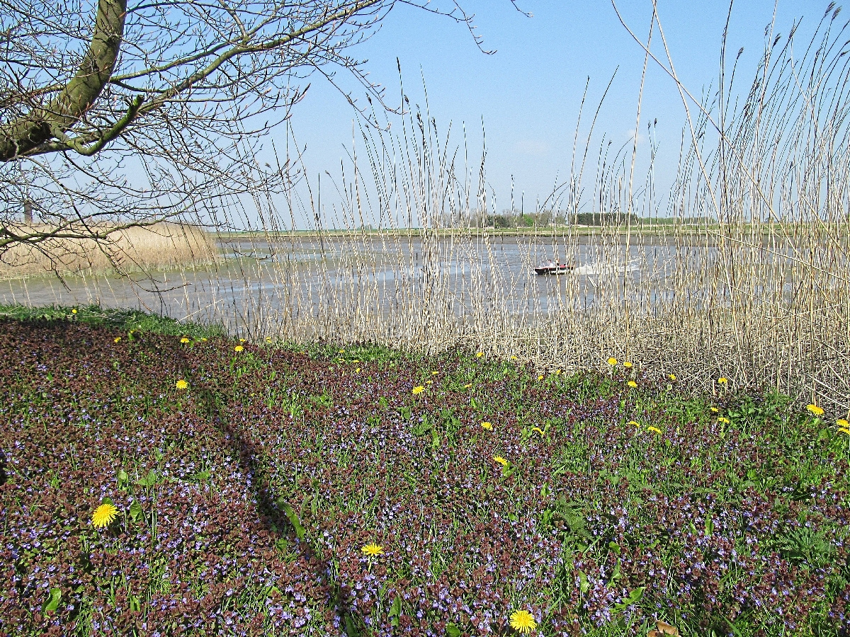 Das ist die Süderelbe mit auflaufend Wasser !