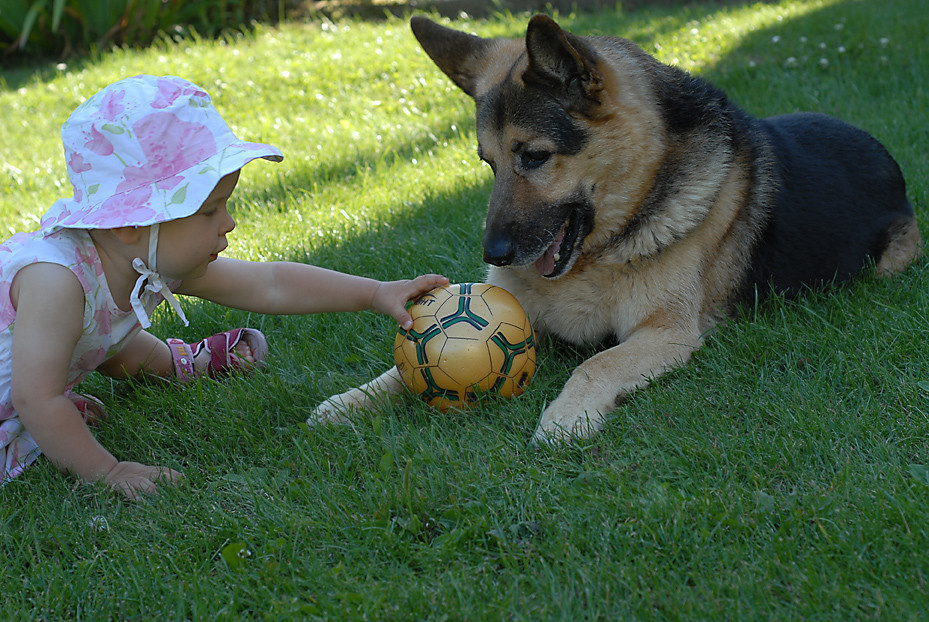 das ist doch mein Ball !!?