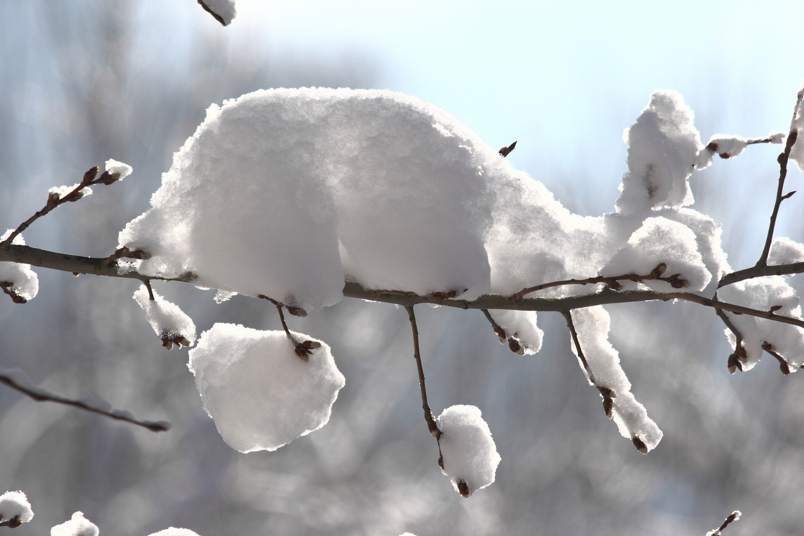 "Das ist doch Schnee von gestern! 