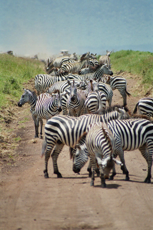 Das ist ein Zebrastreifen