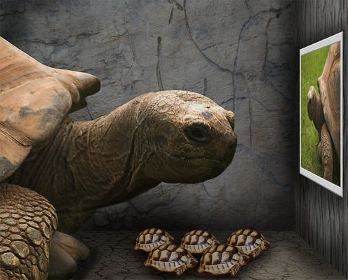 Das ist euer Papa .....