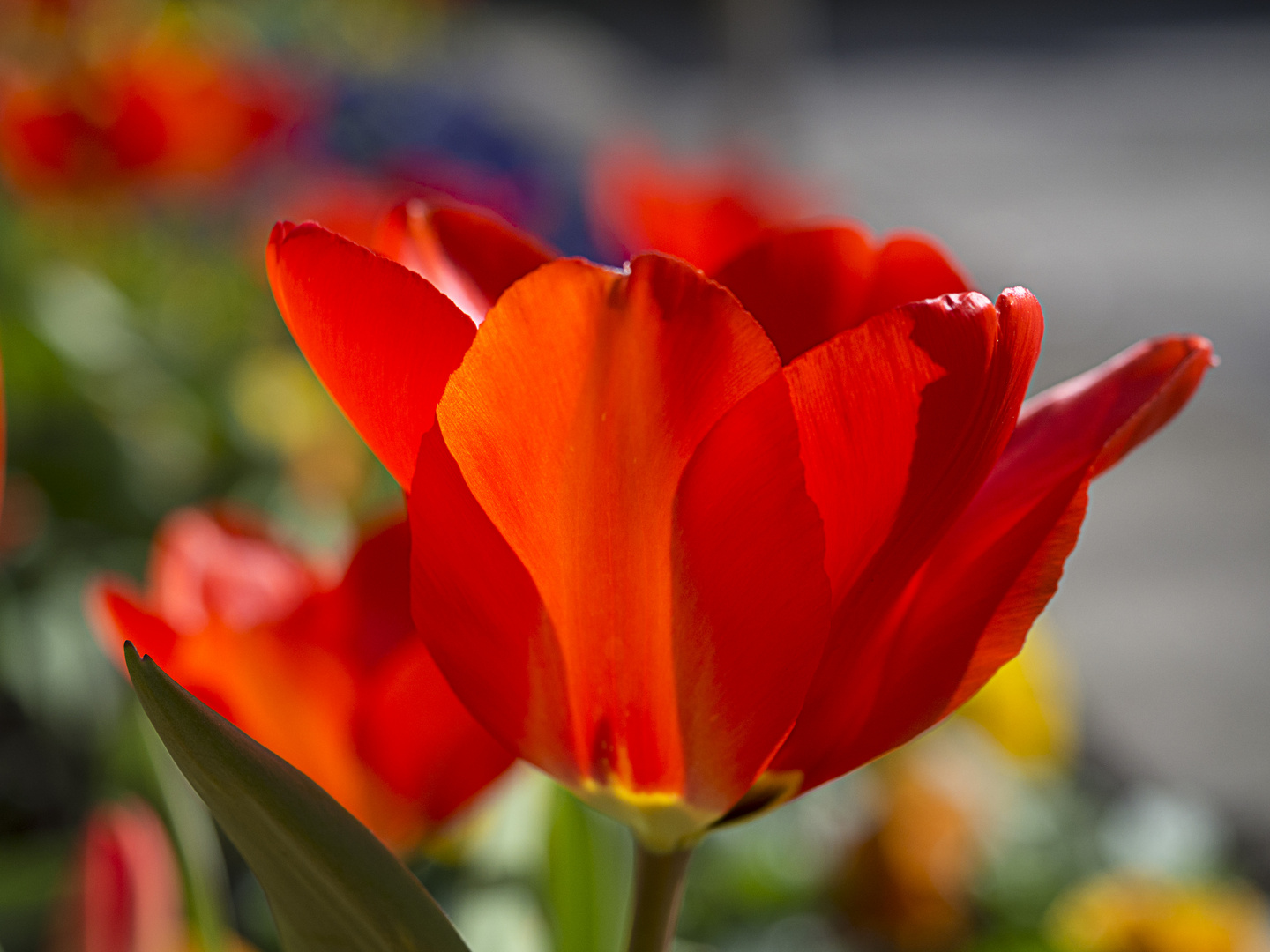 Das ist Frühling