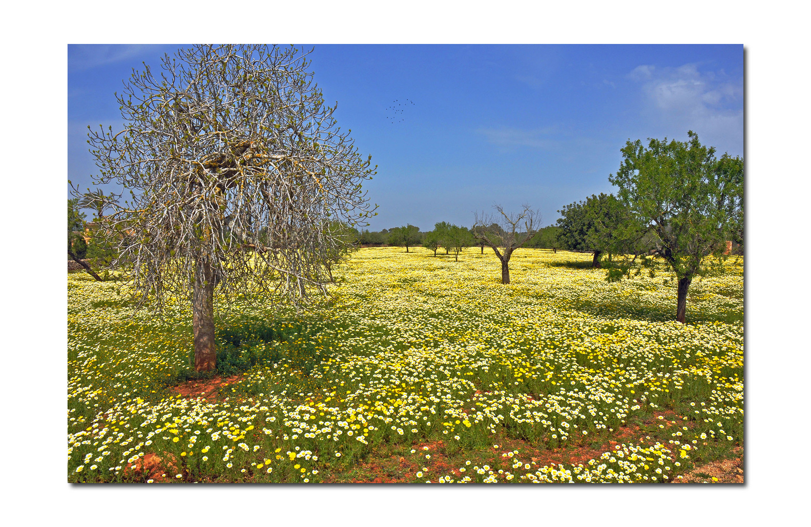 Das ist Frühling