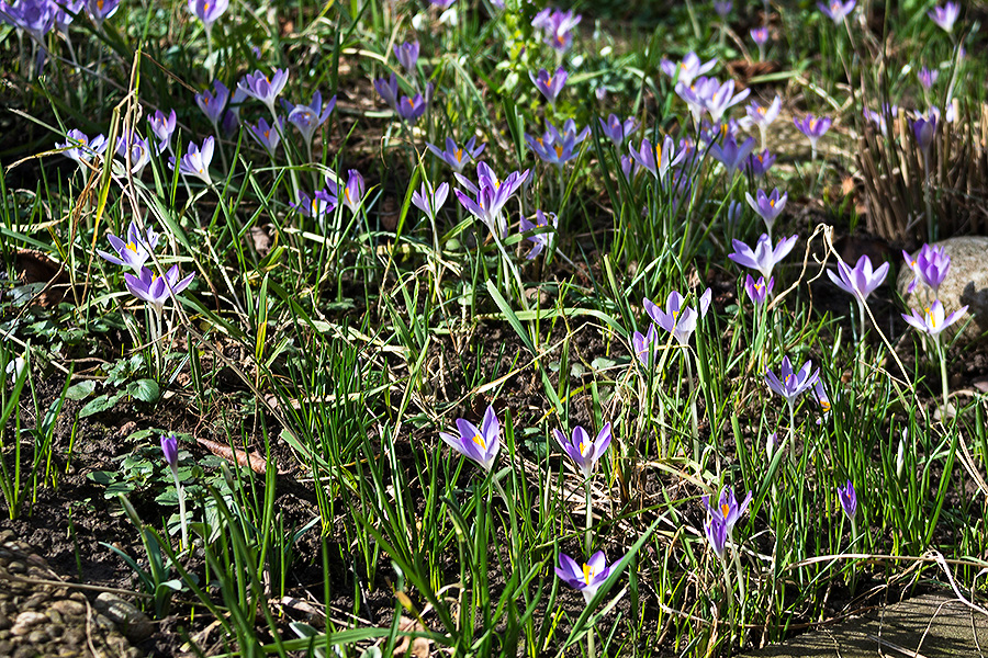 Das ist Frühling