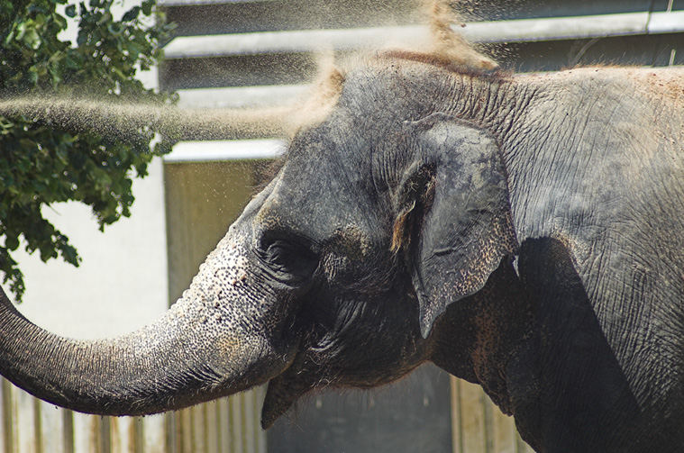 Das ist Gesichtspeeling!