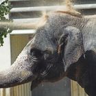 Das ist Gesichtspeeling!