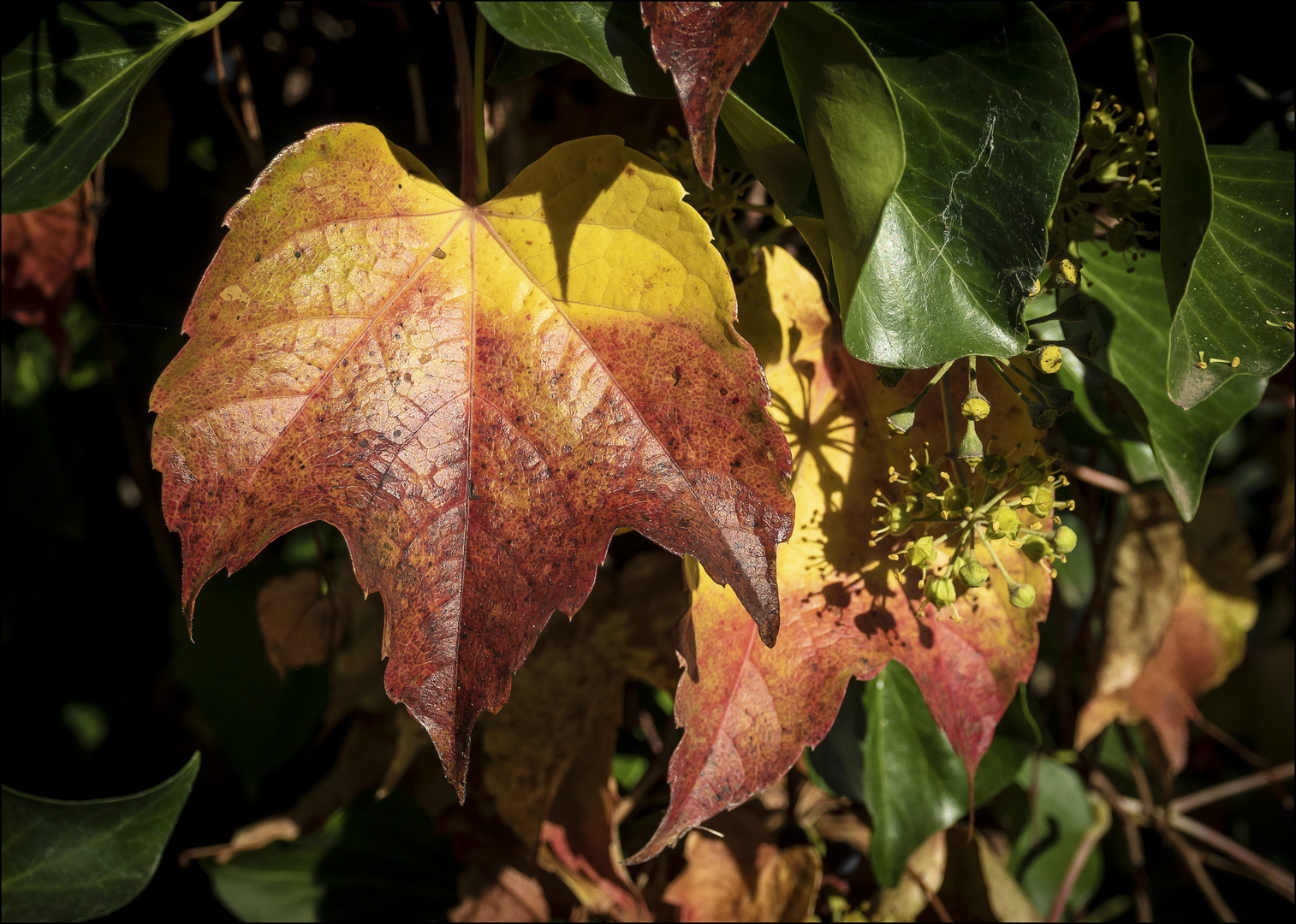 Das ist Herbst...